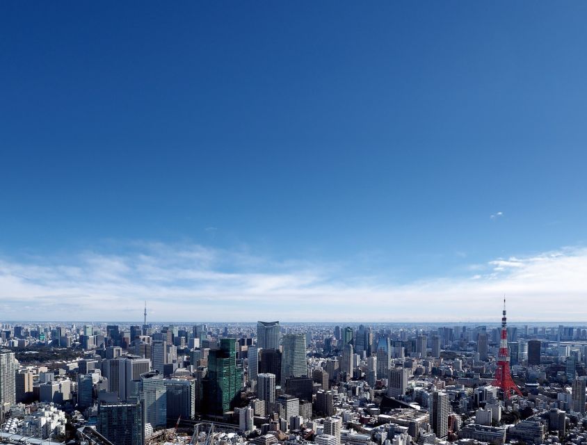 Tokyo: Roppongi Hills Observatory Ticket - Experience Highlights