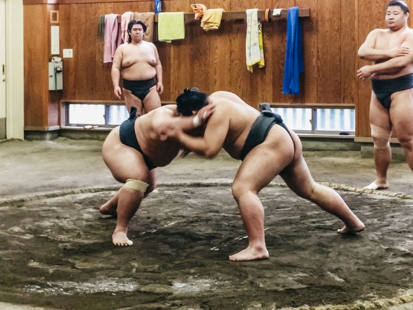 Tokyo: Sumo Morning Training Visit - Experience