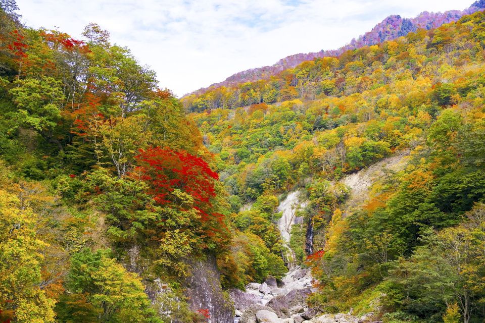 Welcome to Nagano: Private Tour With a Local - Highlights