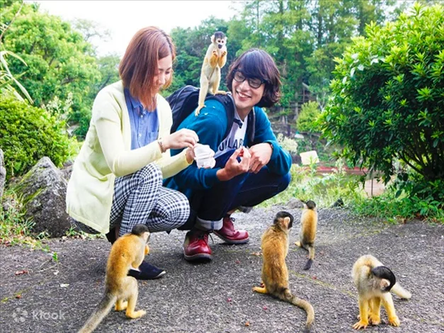 Izu Shaboten Zoo Ticket in Shizuoka - Key Takeaways