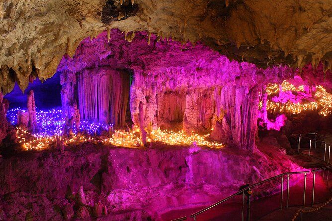 A Beautiful Cave Created From a Coral Reef! - The Biodiversity of the Coral Reef Cave