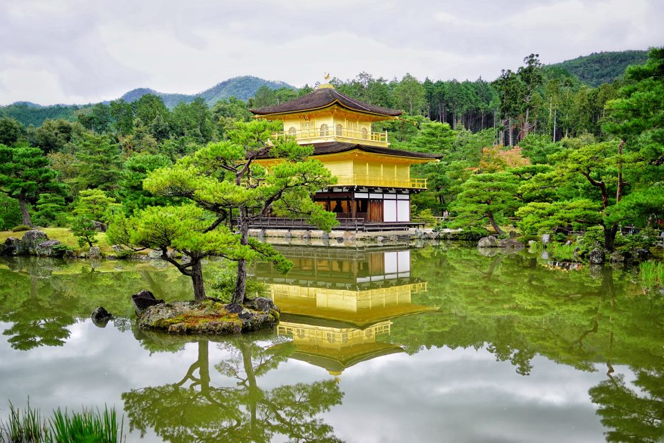 From Osaka or Kyoto: Kyoto & Nara 1 Day Bus Tour - Itinerary