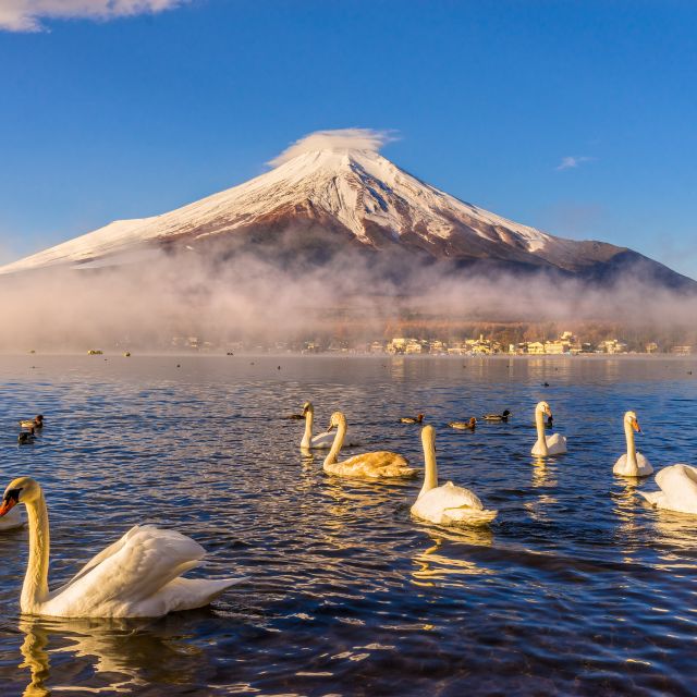 From Tokyo: Mount Fuji and Hakone Private Day Tour - Customized Itineraries With a Private Driver