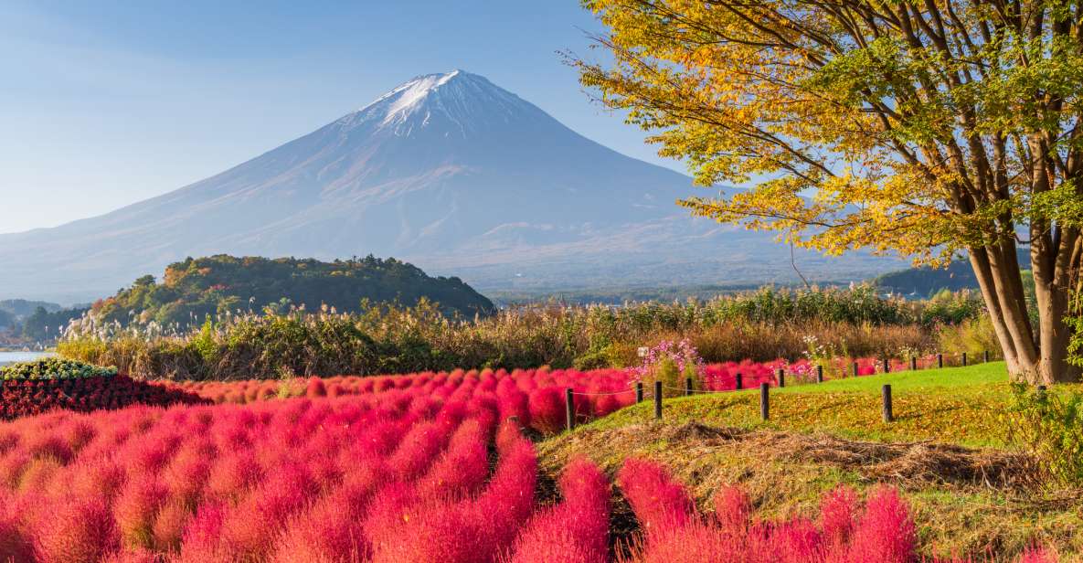 From Tokyo: Mount Fuji Highlights Private Day Tour - Full Description of the Tour