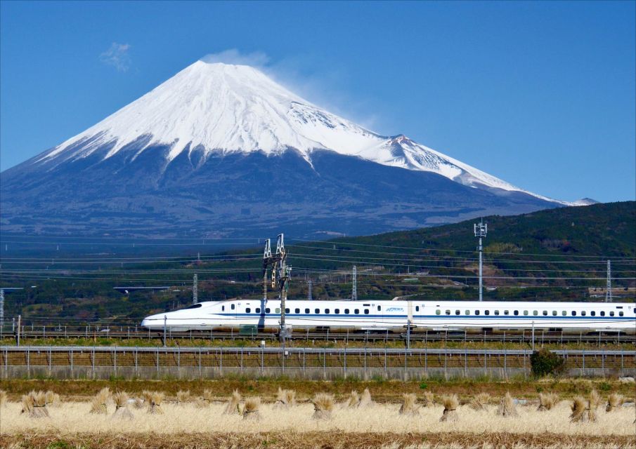 From Tokyo: Mt. Fuji & Hakone Tour W/ Return by Bullet Train - Review Feedback