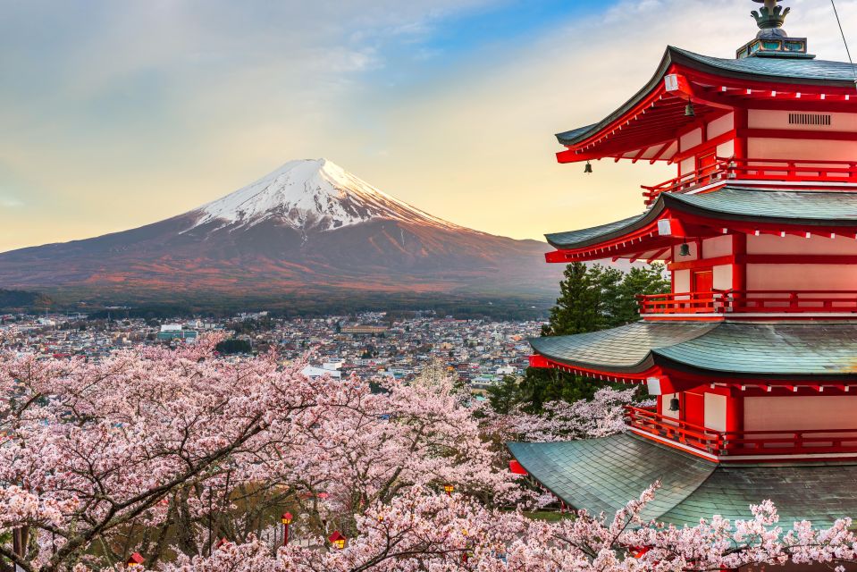 From Tokyo: Mt. Fuji or Hakone Private Sightseeing Day Trip - Itinerary A: A Glimpse of Fujis Majesty