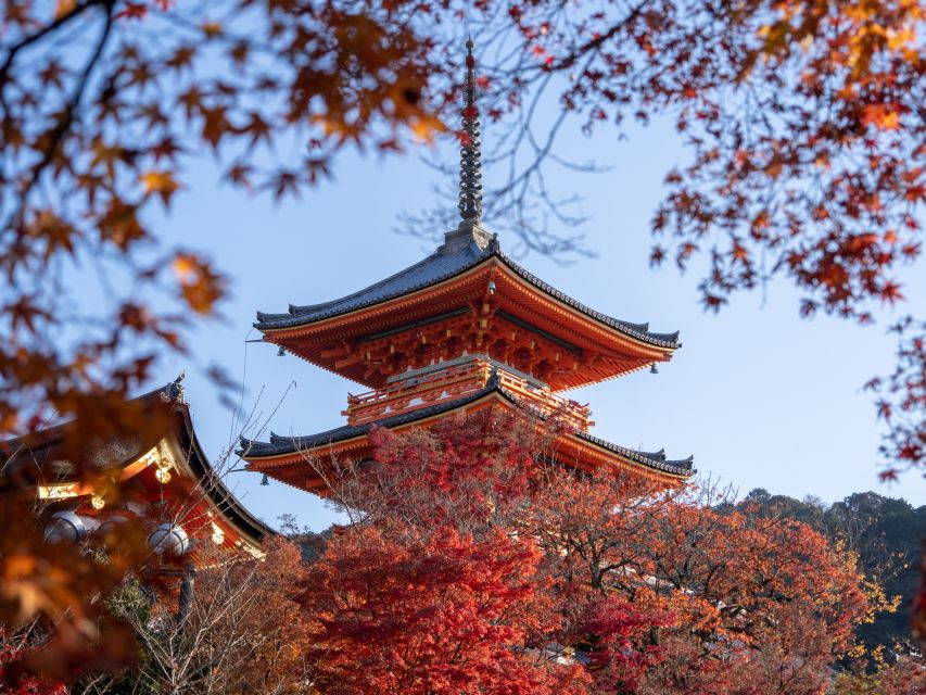 Kyoto: Personalized Guided Private Tour - Full Tour Description