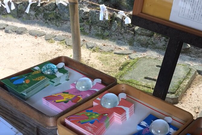 Kyoto Tea Town for Matcha Lovers - Exploring Tea Plantations in Kyoto