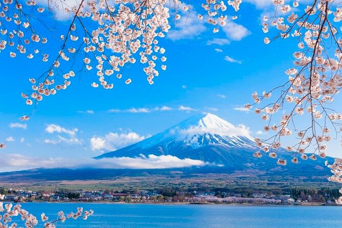 Mt. Fuji Five Lakes Area Full-Day Guided Private Trip  - Fujikawaguchiko-machi - Unveiling the Beauty of Mt. Fuji: A Guided Journey