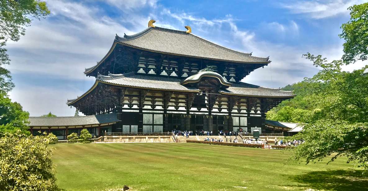 Nara: Todai-ji and Nara Park (Spanish Guide) - Observa E Interactúa Con Los Ciervos Que Deambulan Libremente En Nara Park