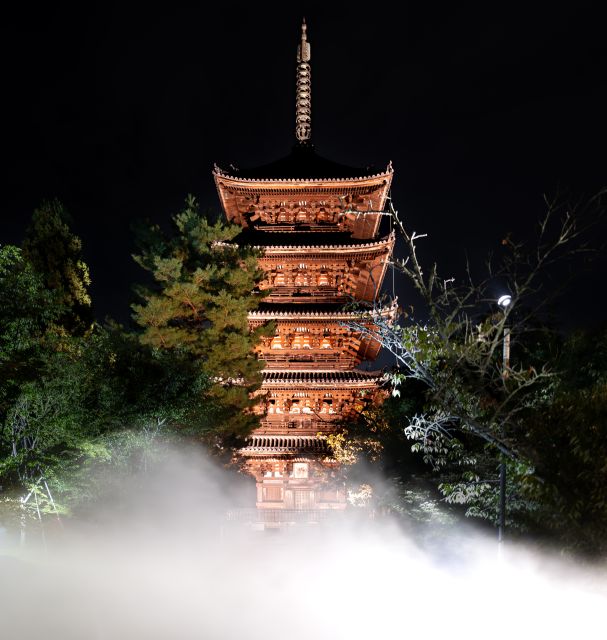 Ninnaji Temple: Special Entry for Unkai Light-up - Highlights of the Unkai Light-up Experience