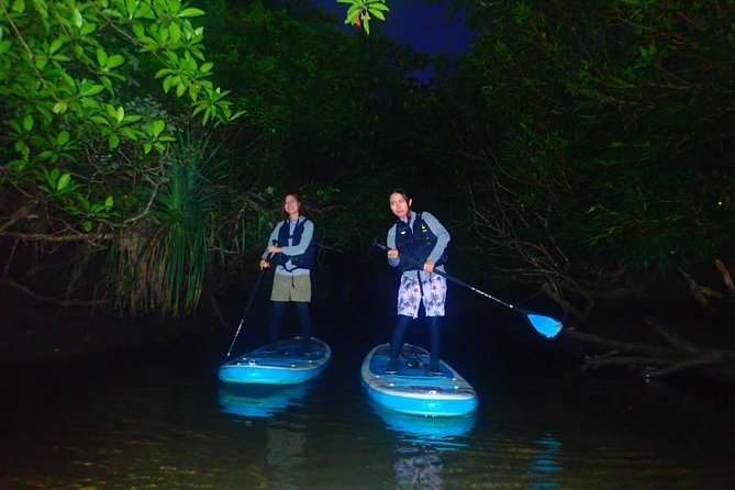 [Okinawa Iriomote] Night SUP/Canoe Tour in Iriomote Island - Embrace the Night: Unforgettable SUP/Canoe Journey in Iriomote Island