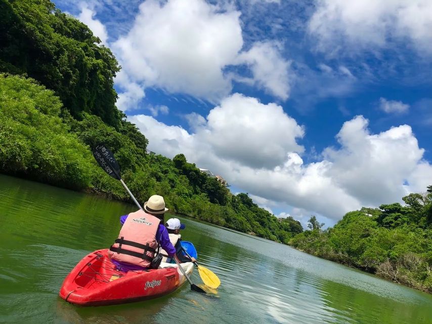 Okinawa: Mangrove Kayaking Tour - Kayaking on the Hija River