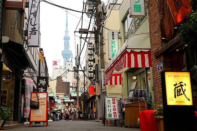 Private Customizable Walking Tour of Tokyo - Insider Tips and Local Recommendations