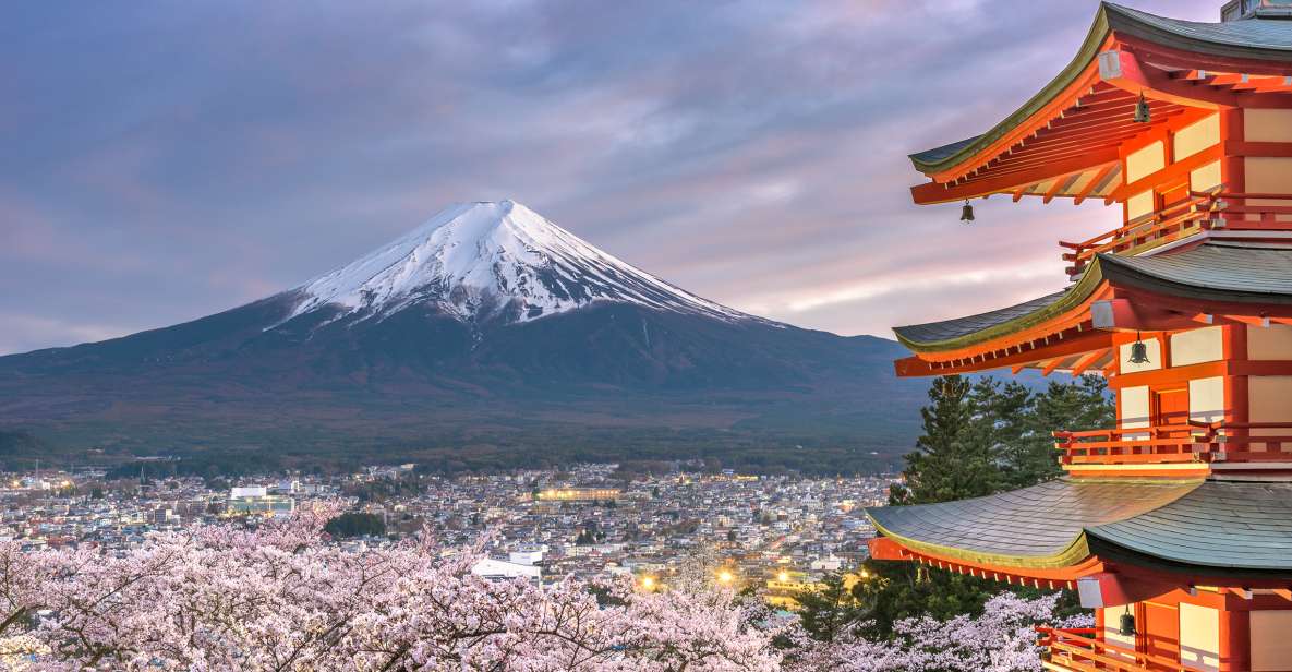 Private Full Day Sightseeing Tour to Mount Fuji and Hakone - Customer Reviews