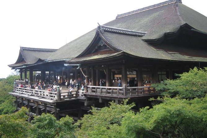Sagano Romantic Train & Arashiyama, Kiyomizudera, Fushimi Inari Taisha Day Tour - Taking in the Vibrant Fushimi Inari Shrine