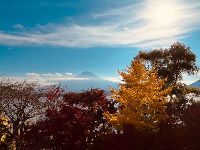 Shinjuku: Mount Fuji Panoramic View and Shopping Day Tour - Review Summary