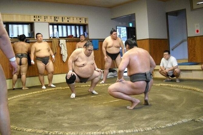 Sumo Morning Practice Tour in Tokyo, Sumida City - Tour Guidelines and Requirements