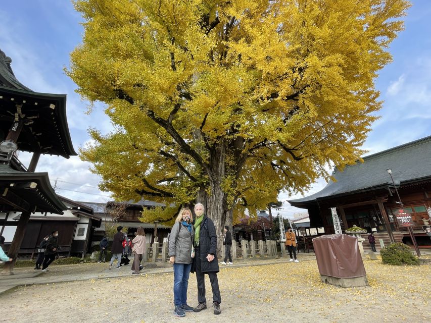 Takayama: Private Walking Tour With a Local Guide - Places to Visit
