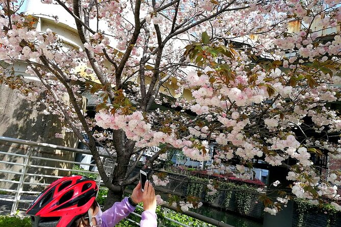 Tokyo Cherry Blossoms Blooming Spots E-Bike 3 Hour Tour - Frequently Asked Questions