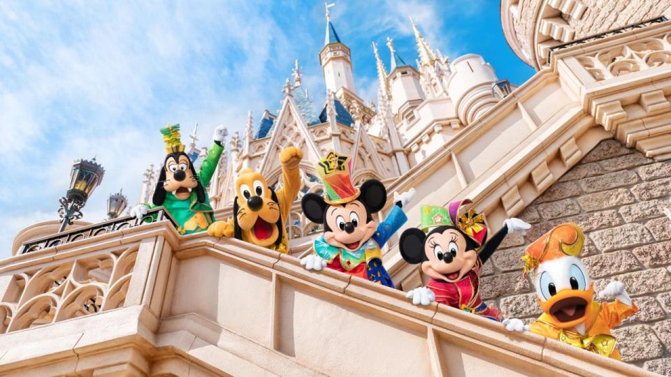 Tokyo Disneyland/DisneySea Entry Pass & Shared Transfer - Highlights