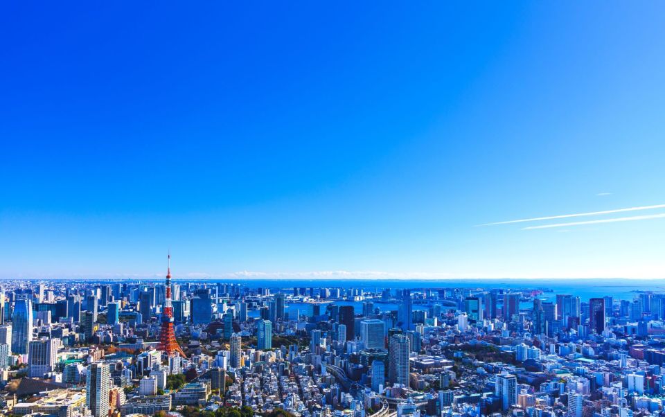 Tokyo: Guided Helicopter Ride With Mount Fuji Option - Highlights of the Helicopter Ride