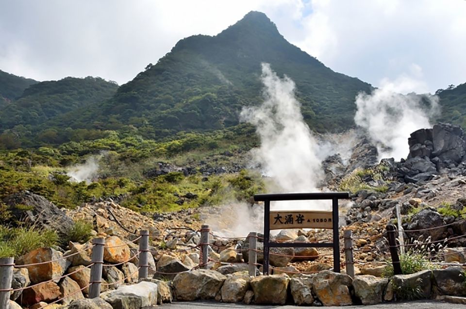 Tokyo: Hakone Fuji Day Tour W/ Cruise, Cable Car, Volcano - Optional Activities