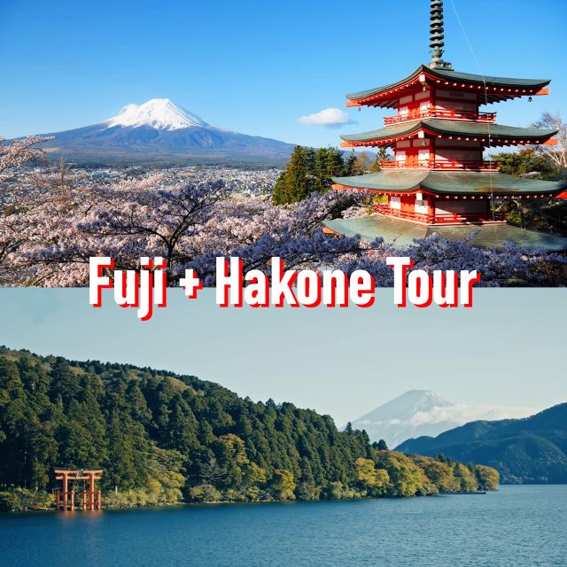 Tokyo to Mount Fuji and Hakone Private Full-day Tour - Itinerary Overview