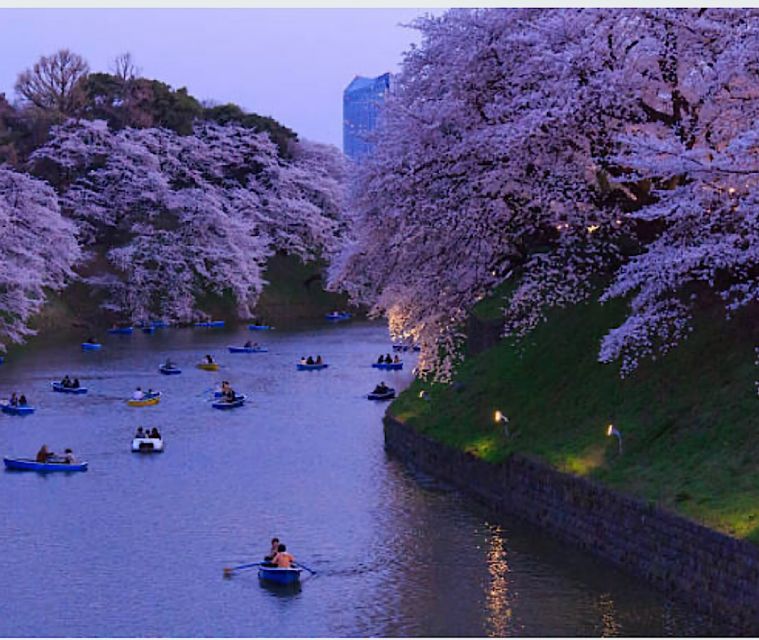 1 Day Tokyo Tour: Customizable (Up-To 6 Persons) - Inclusions and Pickup Service