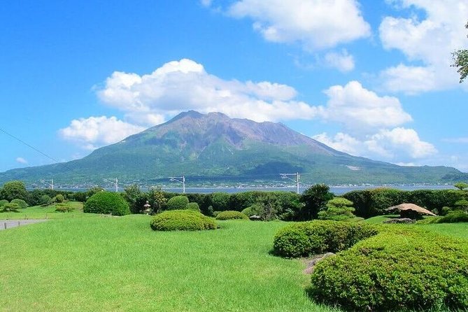 Kagoshima Full-Day Private Tour With Government-Licensed Guide - Pricing and Group Size