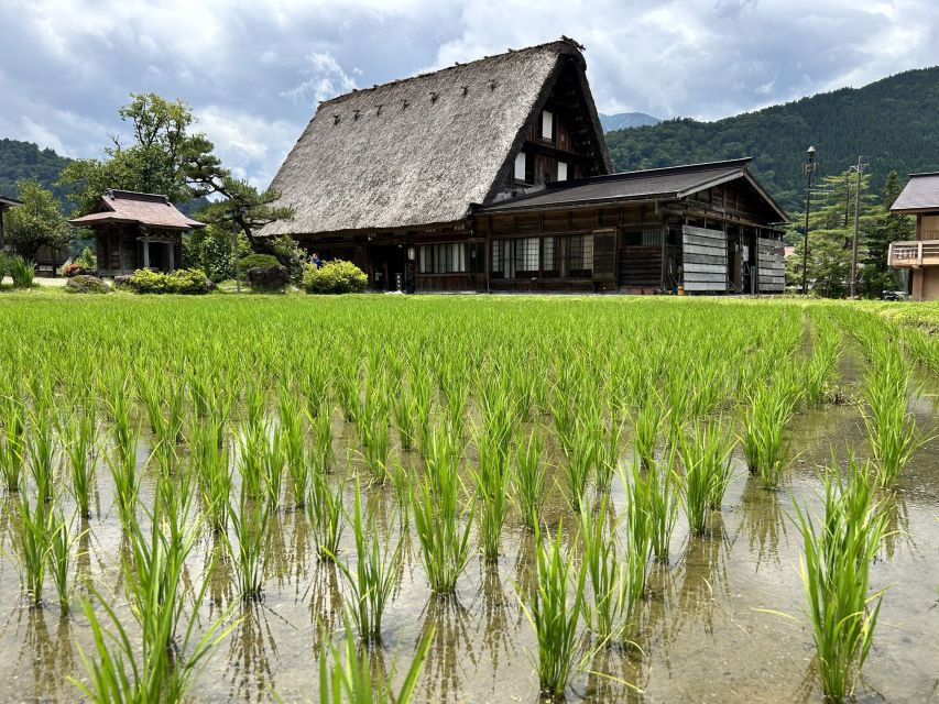 Kanazawa to Shirakawago: Half-Day Tour - Private Car Transportation