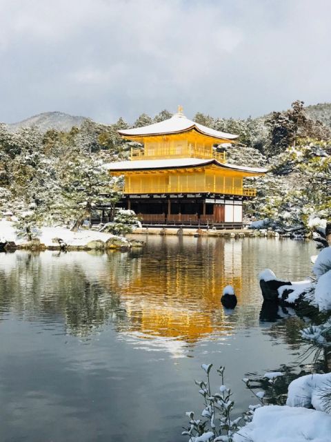 Kyoto:Kiyomizu-dera, Kinkakuji, Fushimi Inari 1-Day Tour - Traveler Reviews and Feedback
