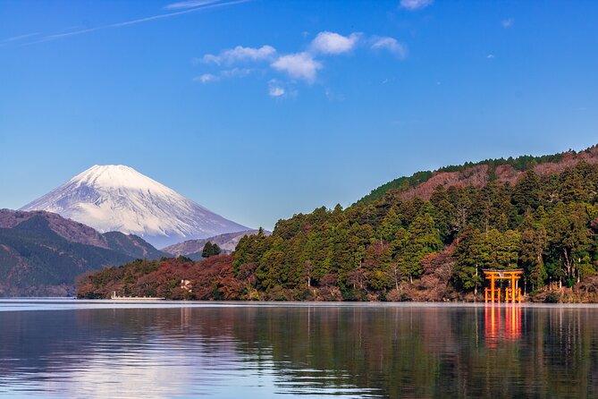 Mt. Fuji & Hakone 1 Day Tour From Tokyo (Return by Bullet Train in Option） - Weather Considerations