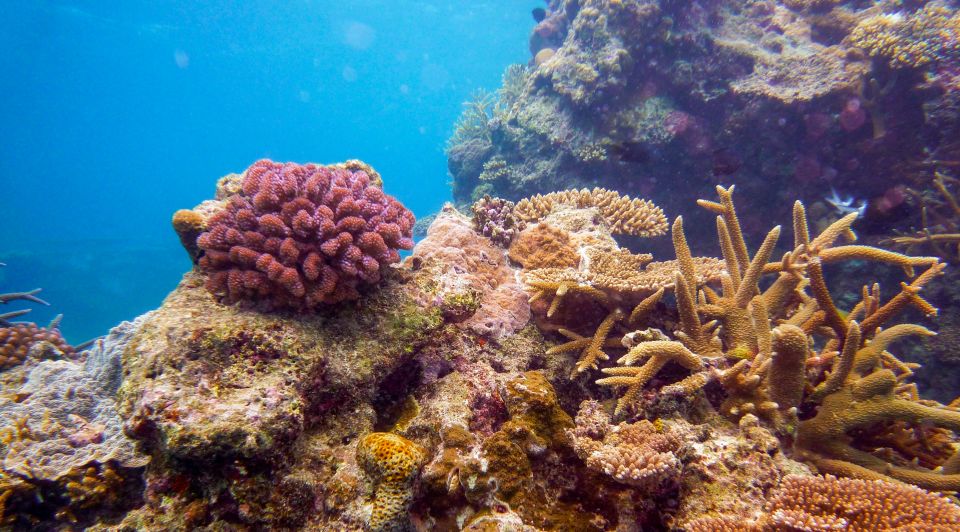 Naha, Okinawa: Kerama Islands Full-Day Intro-Diving Trip - Full Itinerary