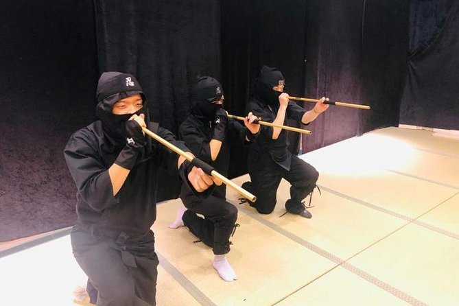 Ninja 1-Hour Lesson in English for Families and Kids in Kyoto - What Traveler Photos Can You View?
