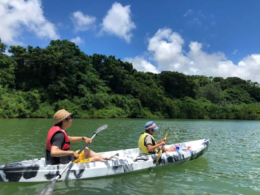 Okinawa: Mangrove Kayaking Tour - Participation Requirements