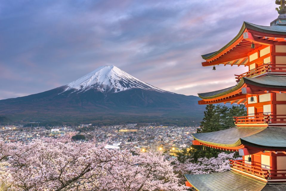 Private Full Day Sightseeing Tour to Mount Fuji and Hakone - Location and Attractions