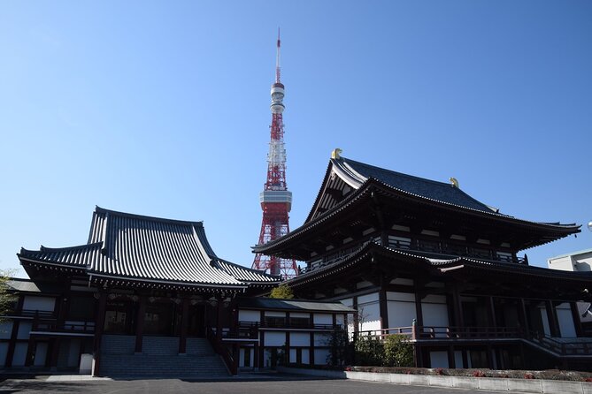 Private One Day Tokyo City Tour With Bilingual Driver - Experience Traditional Japanese Customs and Activities in Tokyo