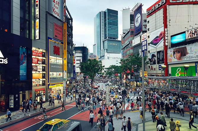 Tokyo Custom Half Day Tour - Transportation Options Within the City