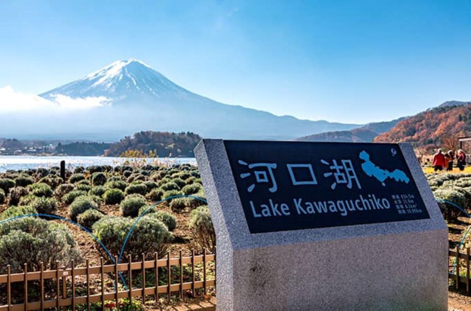 Tokyo: Day Trip to Lake Kawaguchi and Craft Experience - Important Information