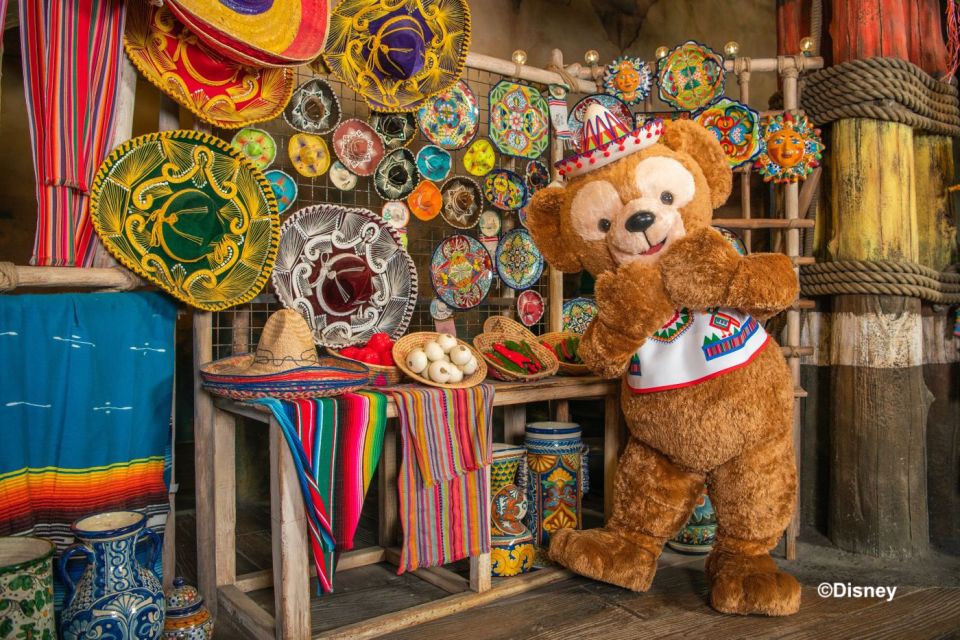 Tokyo: DisneySea 1-Day Passport - Important Information for Visitors