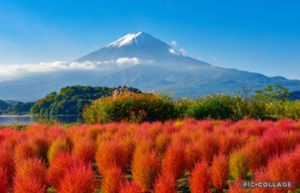From Tokyo/Hakone/Fuji: Hakone & Mt. Fuji Day Trip W/Pickup - Frequently Asked Questions