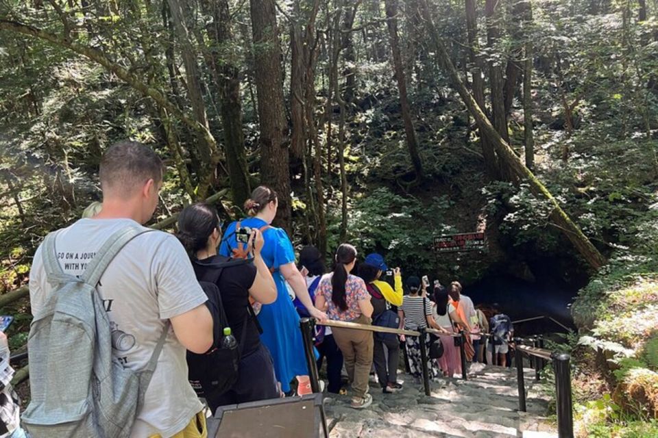 Guided Full-Day Mount Fuji&Aokigahara Forest Bus Tour - Booking and Logistics