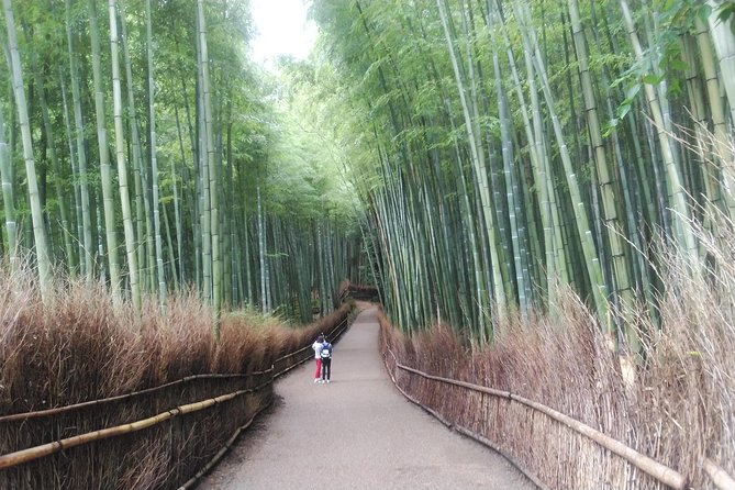 Kyoto Early Riser Platinum One-Day Tour - Booking and Pricing Details