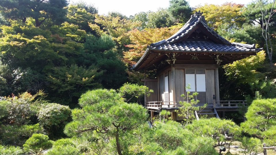 Kyoto/Kobe/Osaka: Arashiyama and Fushimi Inari Private Tour - Customer Reviews