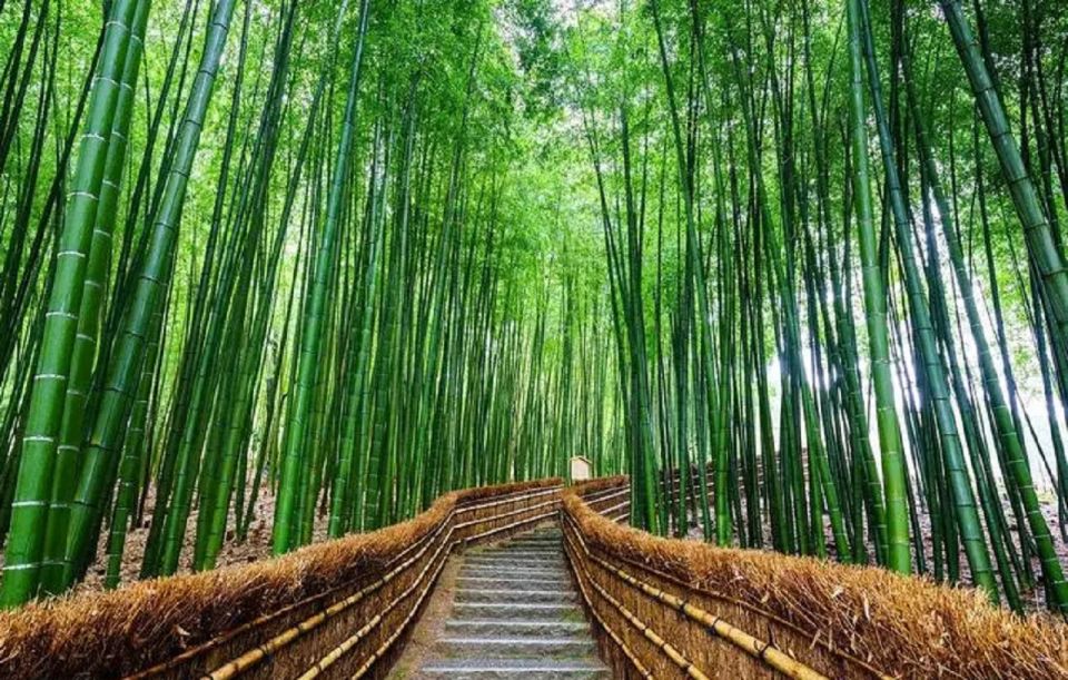 Kyoto Sanzenin Temple,Arashiyama Day Tour From Osaka/Kyoto - Frequently Asked Questions