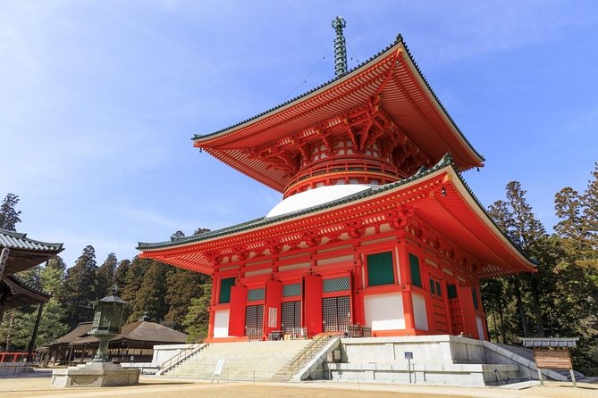 Mt. Koya Sacred Full-Day Private Tour (Osaka Departure) With Licensed Guide - Reviews From Satisfied Travelers