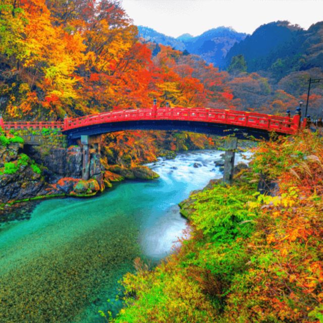 Nikko World Heritage Private Tour From Tokyo By Car & Van - How to Book