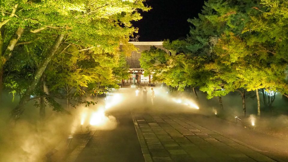Ninnaji Temple: Special Entry for Unkai Light-up - Embracing the Beauty of Autumn Foliage at Ninnaji Temple