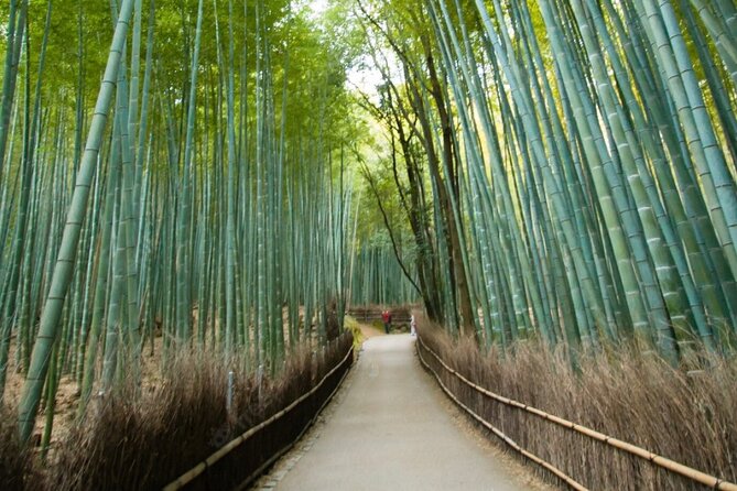 Private Arashiyama Walking Tour: Bamboo, Monkeys & Secrets - Directions